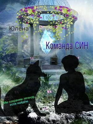Книга Команда Син или, А вы как думали?