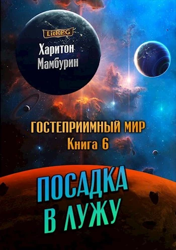 Книга Посадка в лужу
