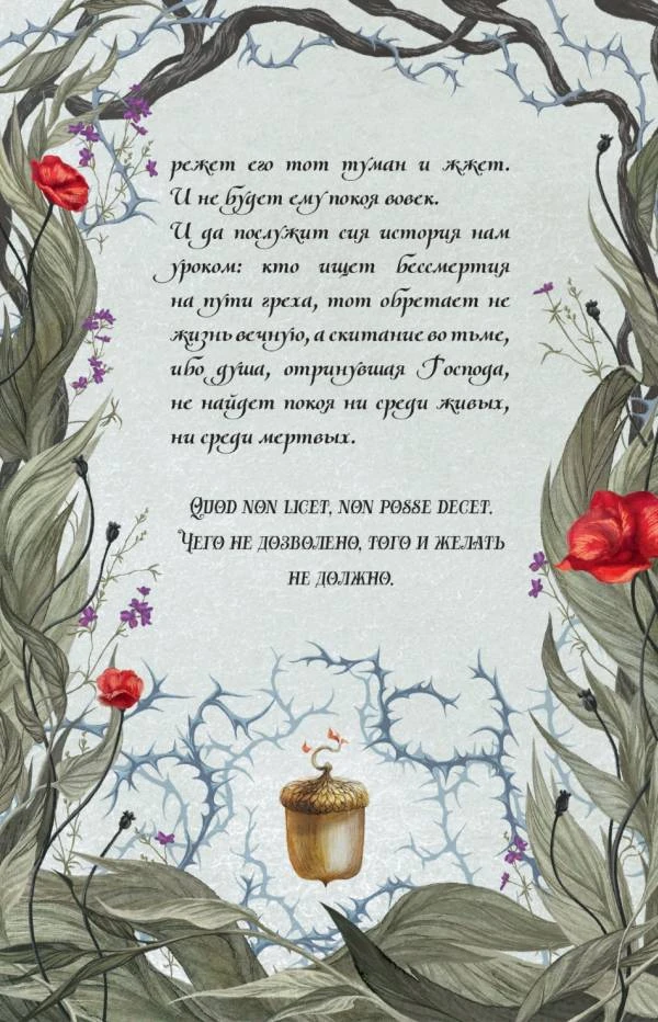 Иллюстрация к книге — Пепельные следы [book-illustration-23.webp]