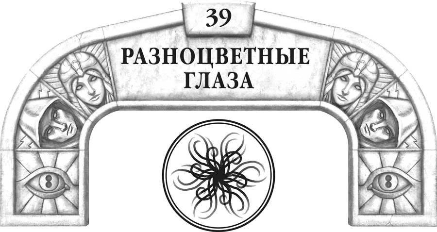 Иллюстрация к книге — Слова сияния [book-illustration-59.webp]