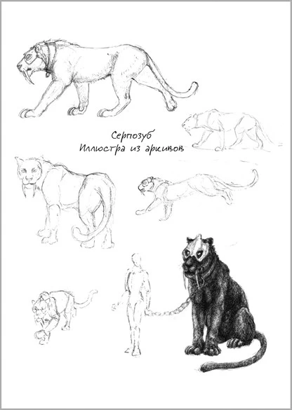 Иллюстрация к книге — Павшая луна: комплект из 2 книг [book-illustration-10.webp]