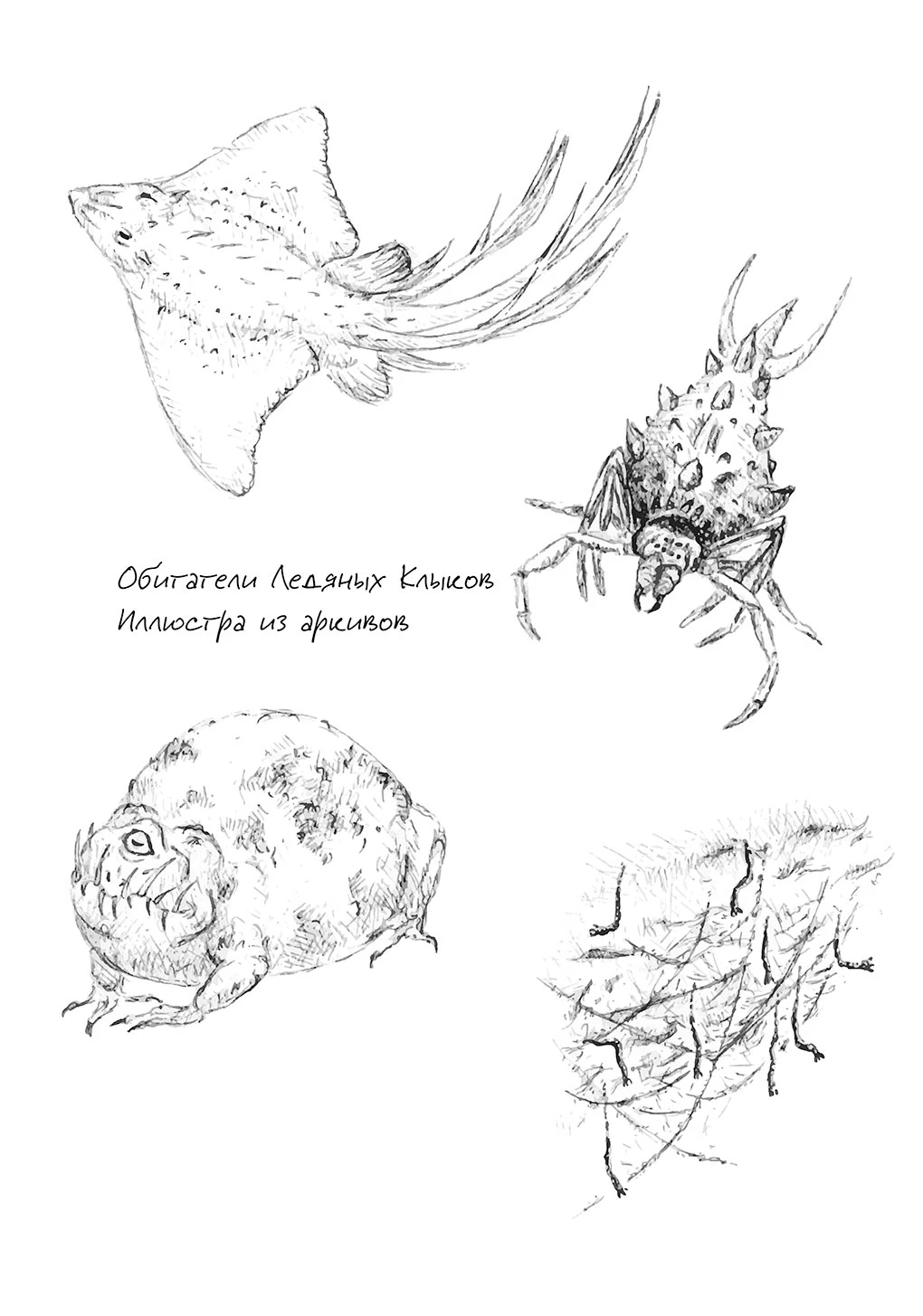 Иллюстрация к книге — Павшая луна: комплект из 2 книг [book-illustration-25.webp]
