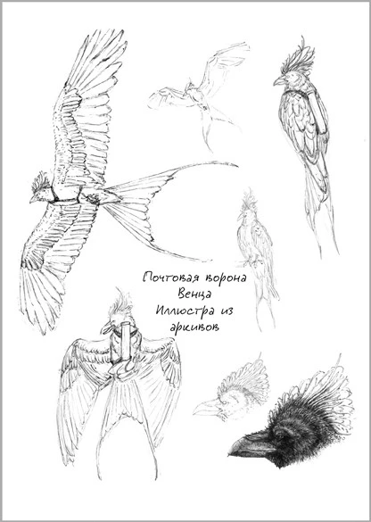 Иллюстрация к книге — Павшая луна: комплект из 2 книг [book-illustration-4.webp]