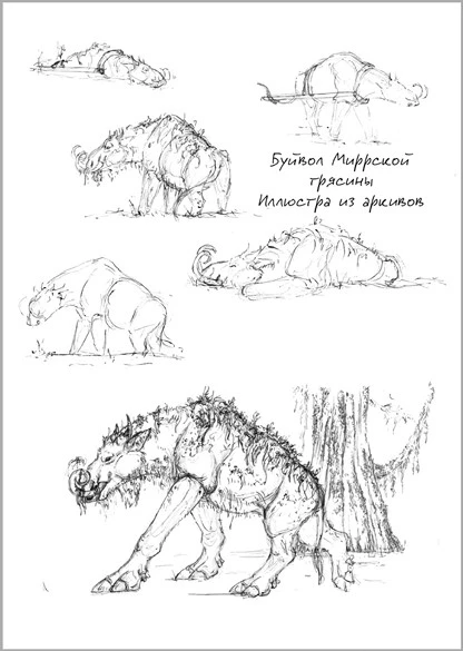 Иллюстрация к книге — Павшая луна: комплект из 2 книг [book-illustration-5.webp]