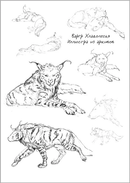 Иллюстрация к книге — Павшая луна: комплект из 2 книг [book-illustration-6.webp]