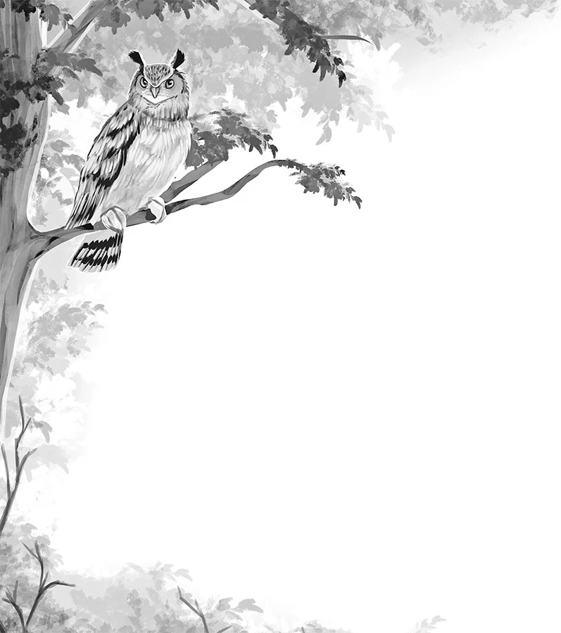 Иллюстрация к книге — Испытание дружбой [book-illustration-27.webp]