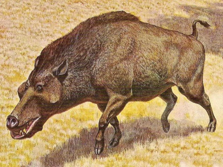 Иллюстрация к книге — Моя империя древних [book-illustration-2.webp]