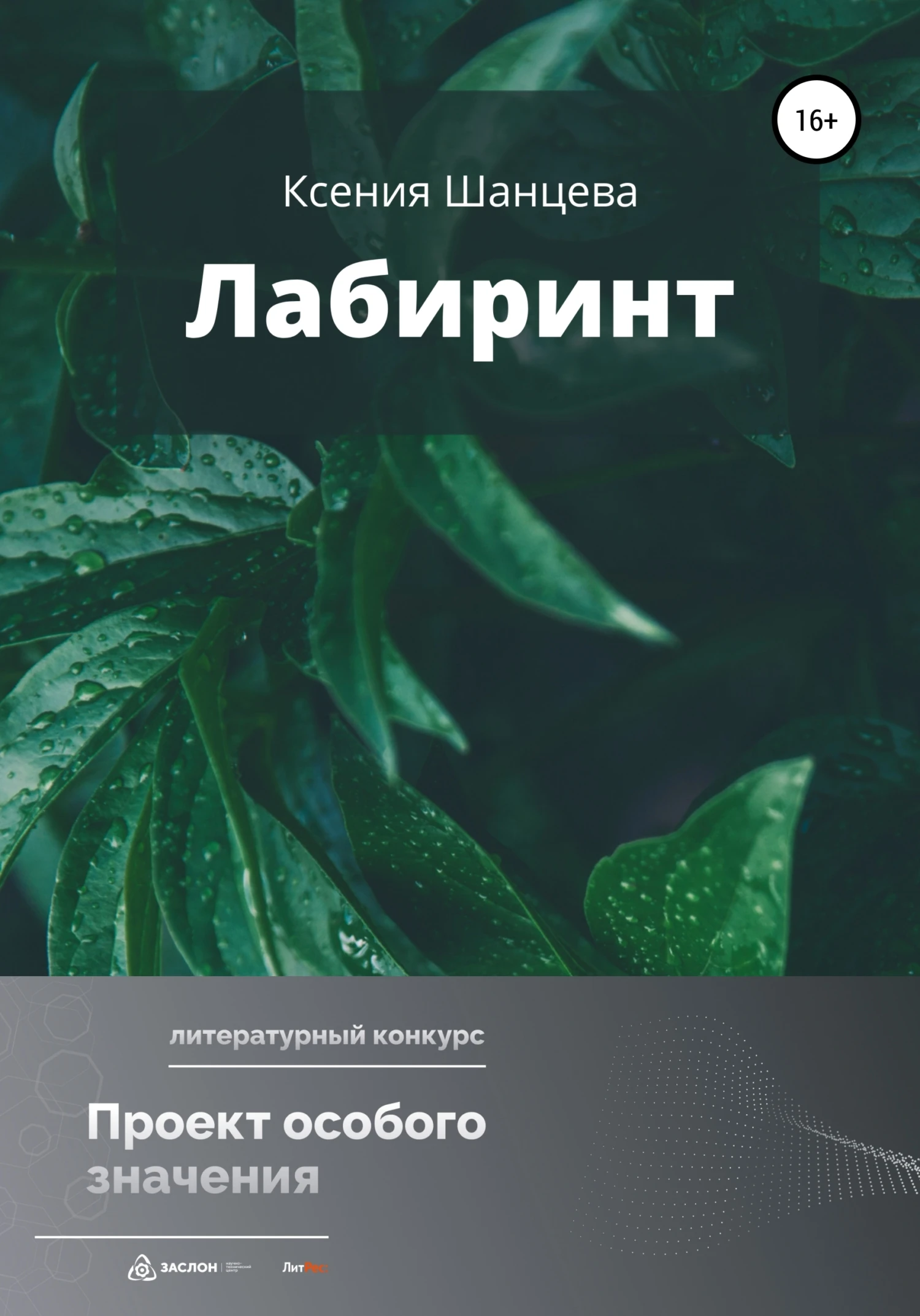 Книга Лабиринт