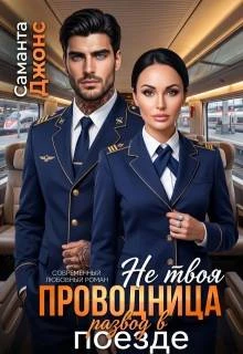 Книга Не твоя проводница. Развод в поезде