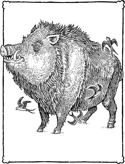 Иллюстрация к книге — Сфинкс, дракон и девочка с птицей [book-illustration-60.webp]