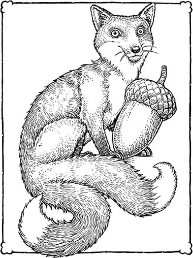 Иллюстрация к книге — Невероятные создания [book-illustration-12.webp]
