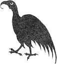 Иллюстрация к книге — Невероятные создания [book-illustration-76.webp]