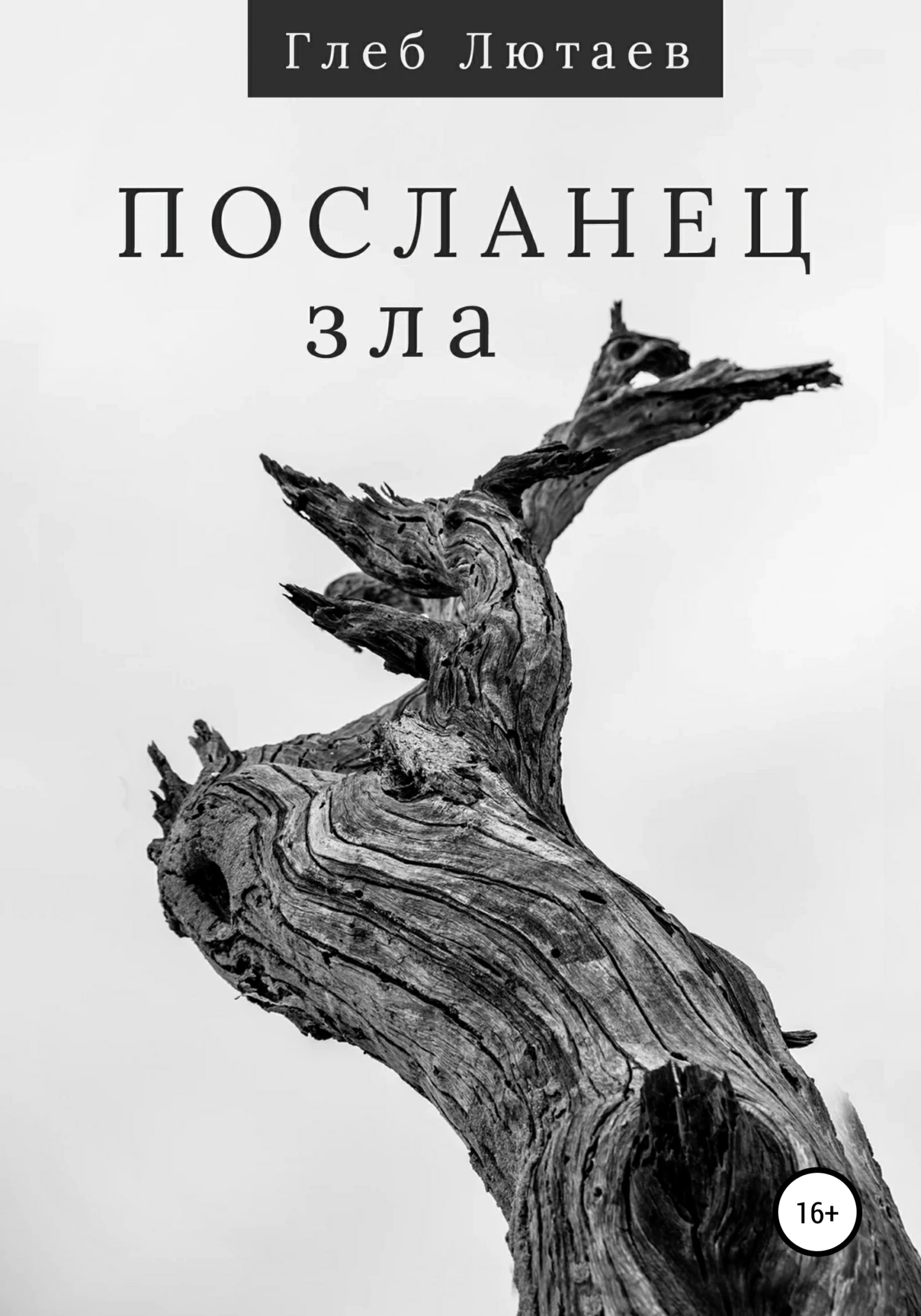 Книга Посланец Зла