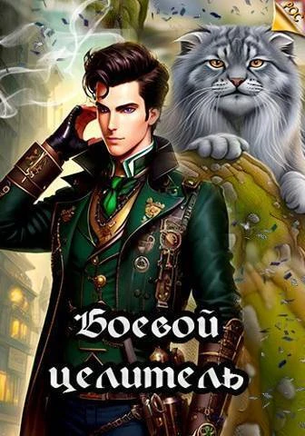 Книга Боевой целитель
