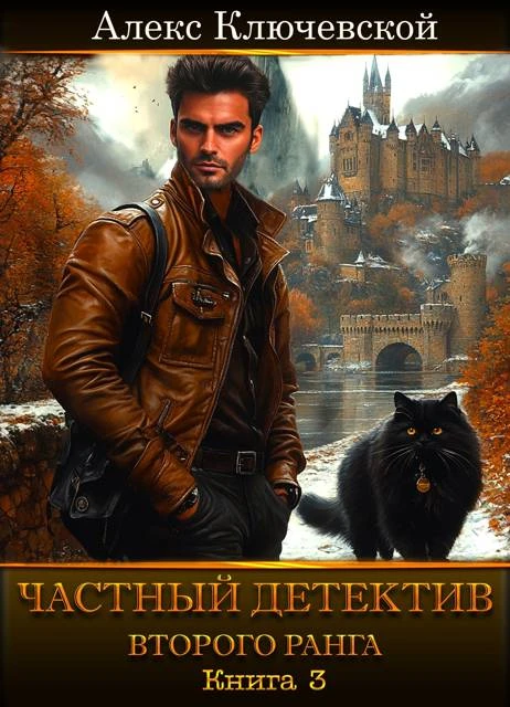 Книга Частный детектив второго ранга. Книга 3