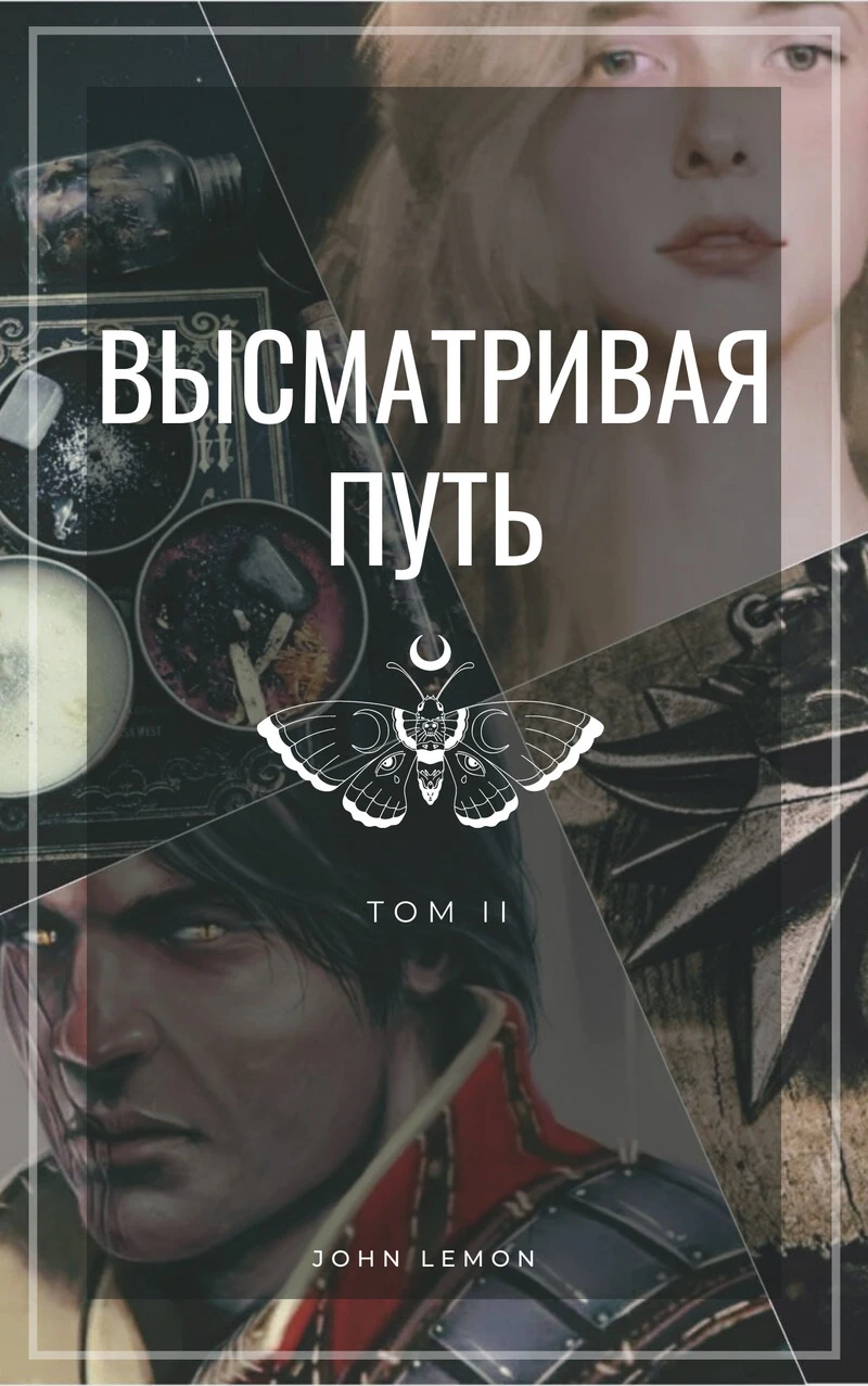 Книга Высматривая путь. Том II