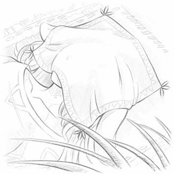 Иллюстрация к книге — Убежище Ксинори [book-illustration-11.webp]