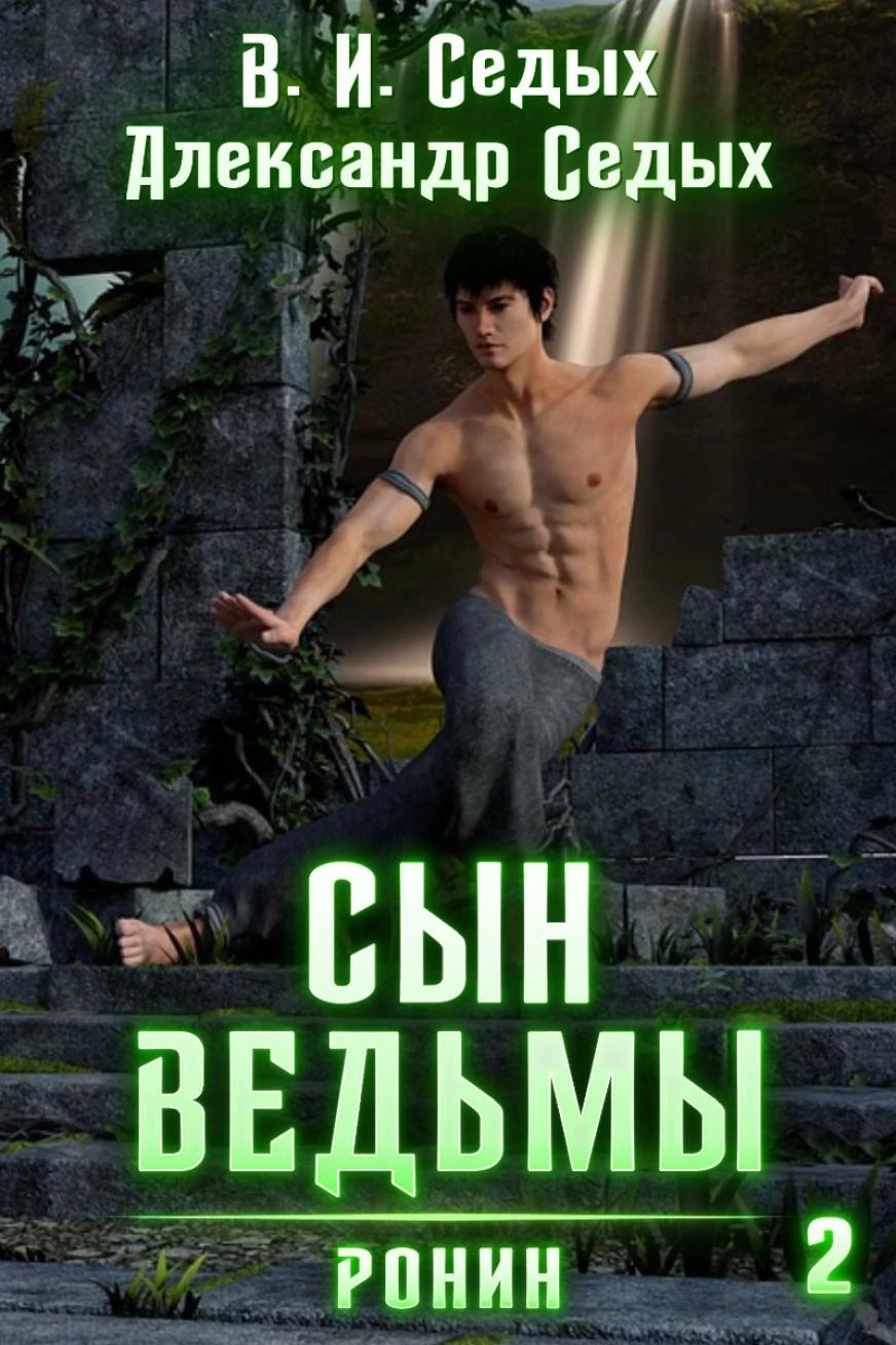 Книга Ронин