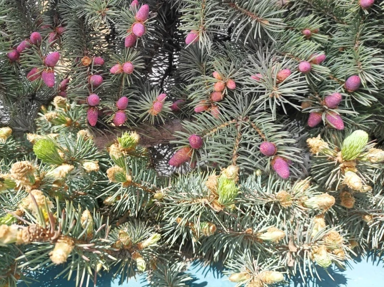 Иллюстрация к книге — Встретимся во снах [book-illustration-23.webp]