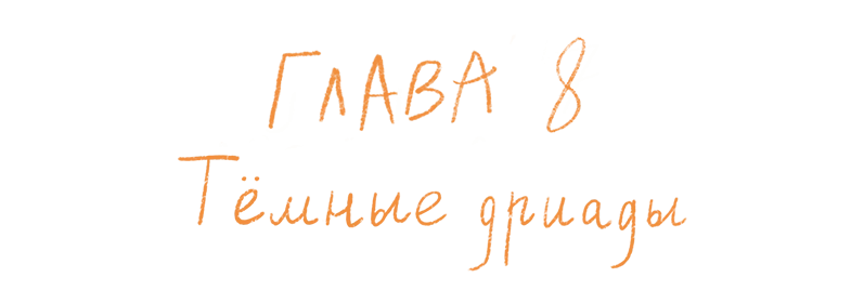 Иллюстрация к книге — Испытания в Диких землях [book-illustration-26.webp]