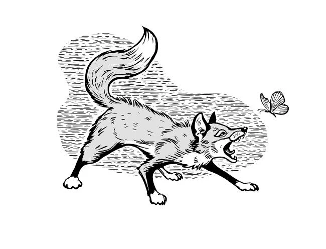 Иллюстрация к книге — Даша и дракон из зеркала [book-illustration-29.webp]