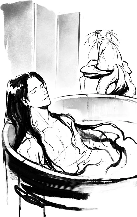 Иллюстрация к книге — Белый кот старейшины Цунчжэ. Том 1 [book-illustration-7.webp]