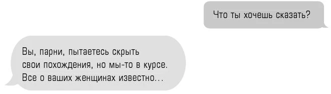 Иллюстрация к книге — Клятва мести [book-illustration-21.webp]