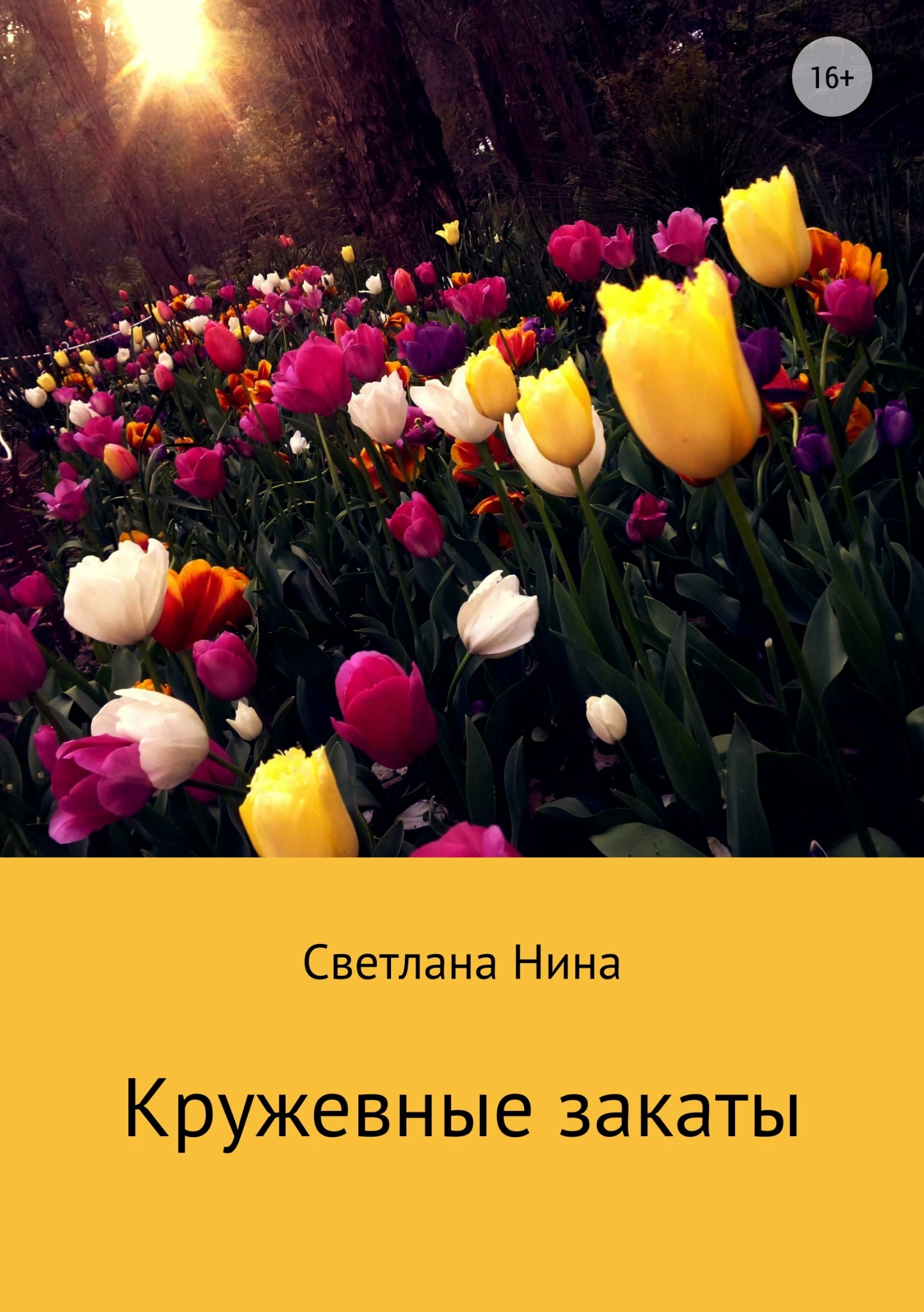 Книга Кружевные закаты
