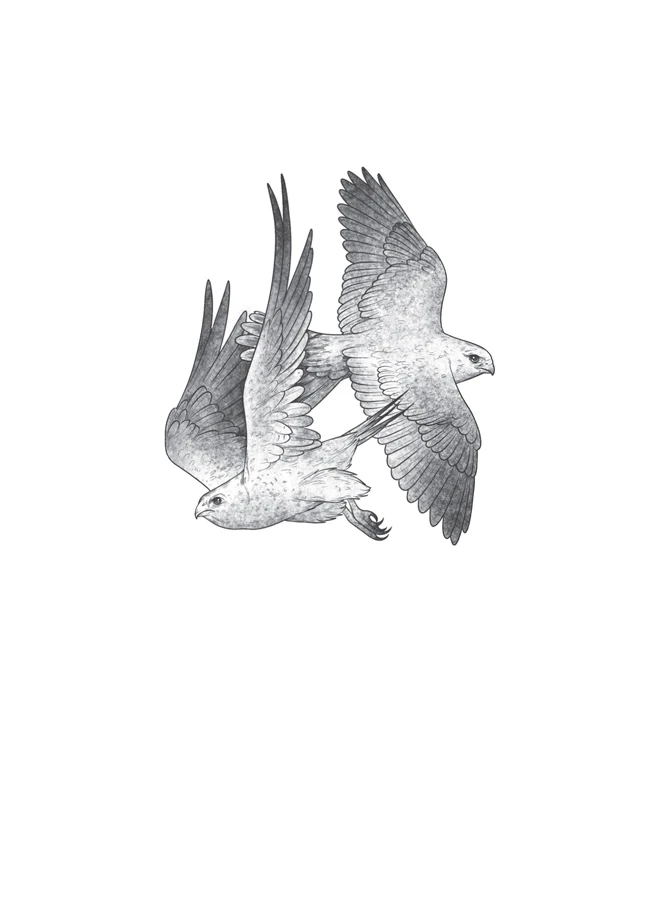 Иллюстрация к книге — Пророчество тьмы [book-illustration-1.webp]