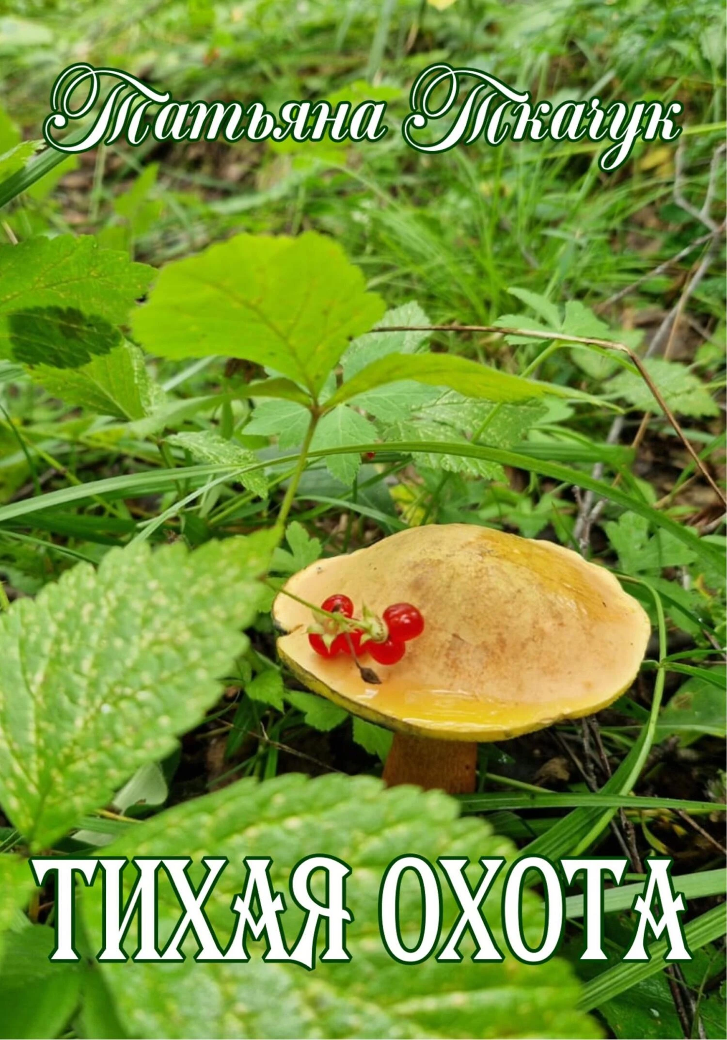 Книга Тихая охота