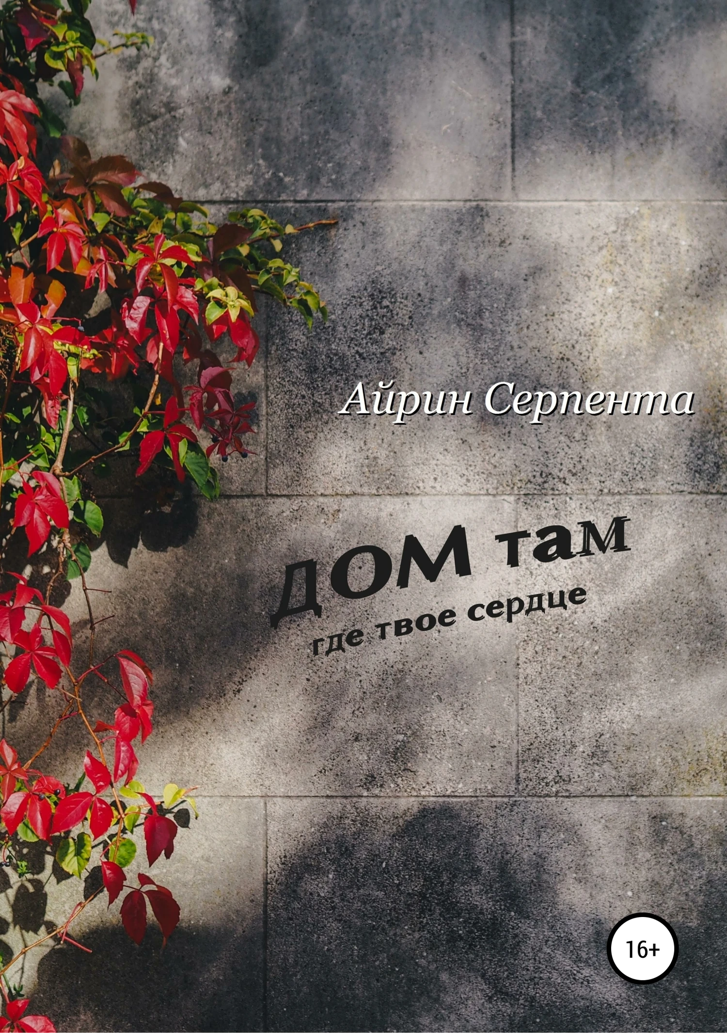 Книга Дом там, где твое сердце