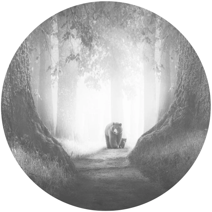 Иллюстрация к книге — Написано кровью моего сердца [book-illustration-1.webp]