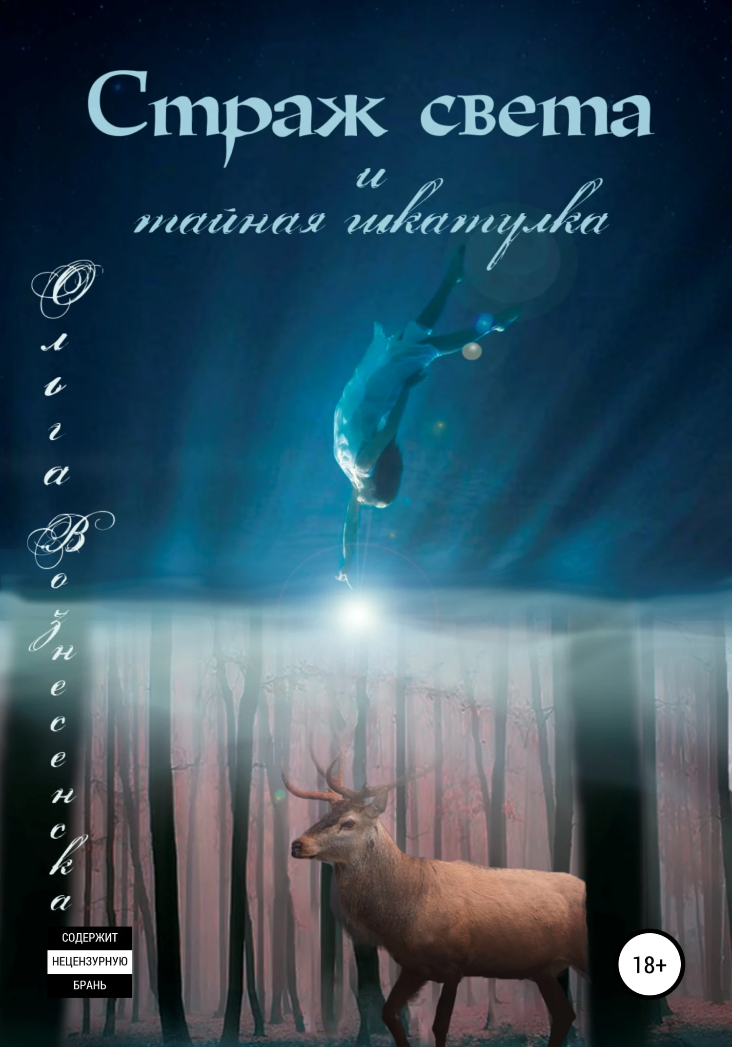 Книга Страж света и тайная шкатулка
