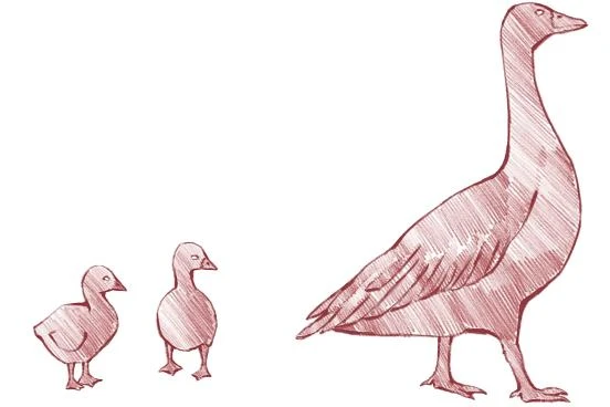 Иллюстрация к книге — Русские заветные сказки [book-illustration-44.webp]