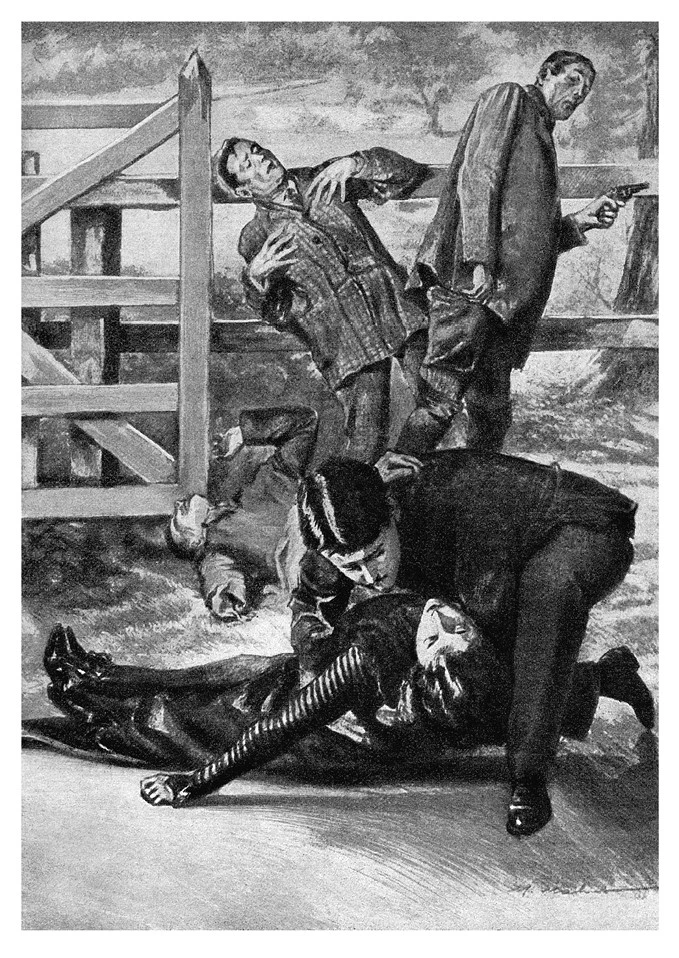 Иллюстрация к книге — Полая игла [book-illustration-37.webp]