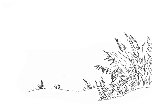 Иллюстрация к книге — Дотронуться до сердца [book-illustration-12.webp]