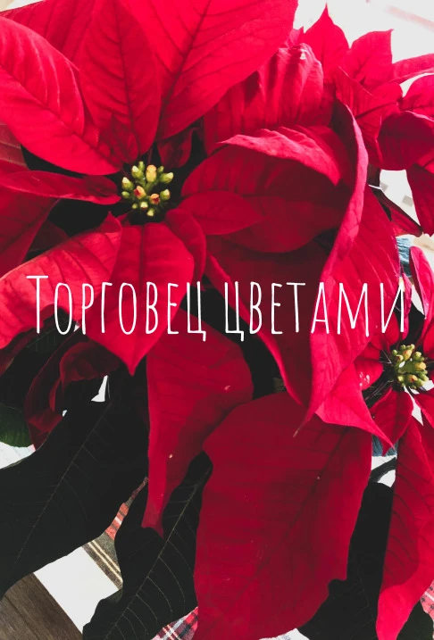Книга Торговец цветами