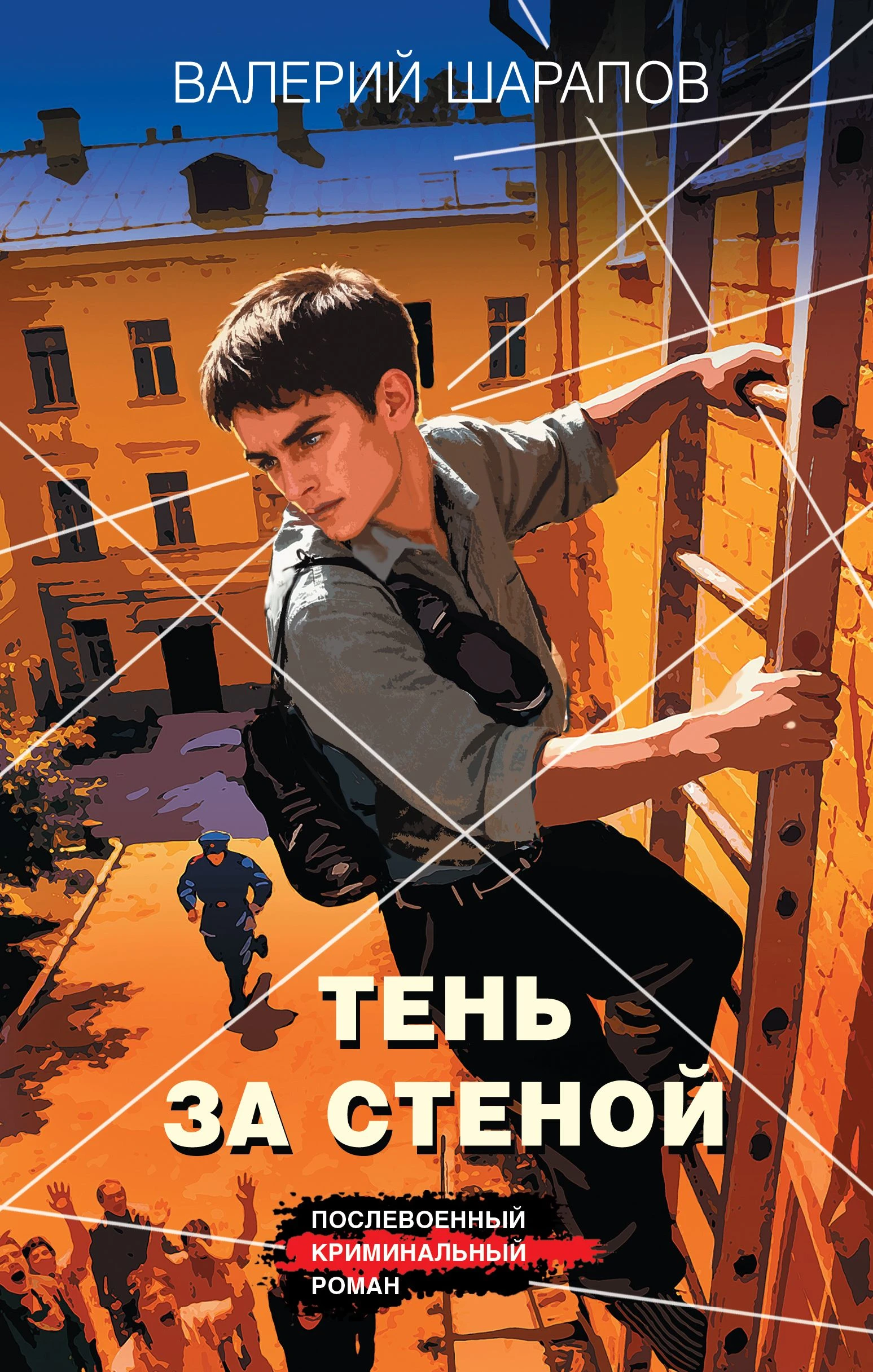 Книга Тень за стеной