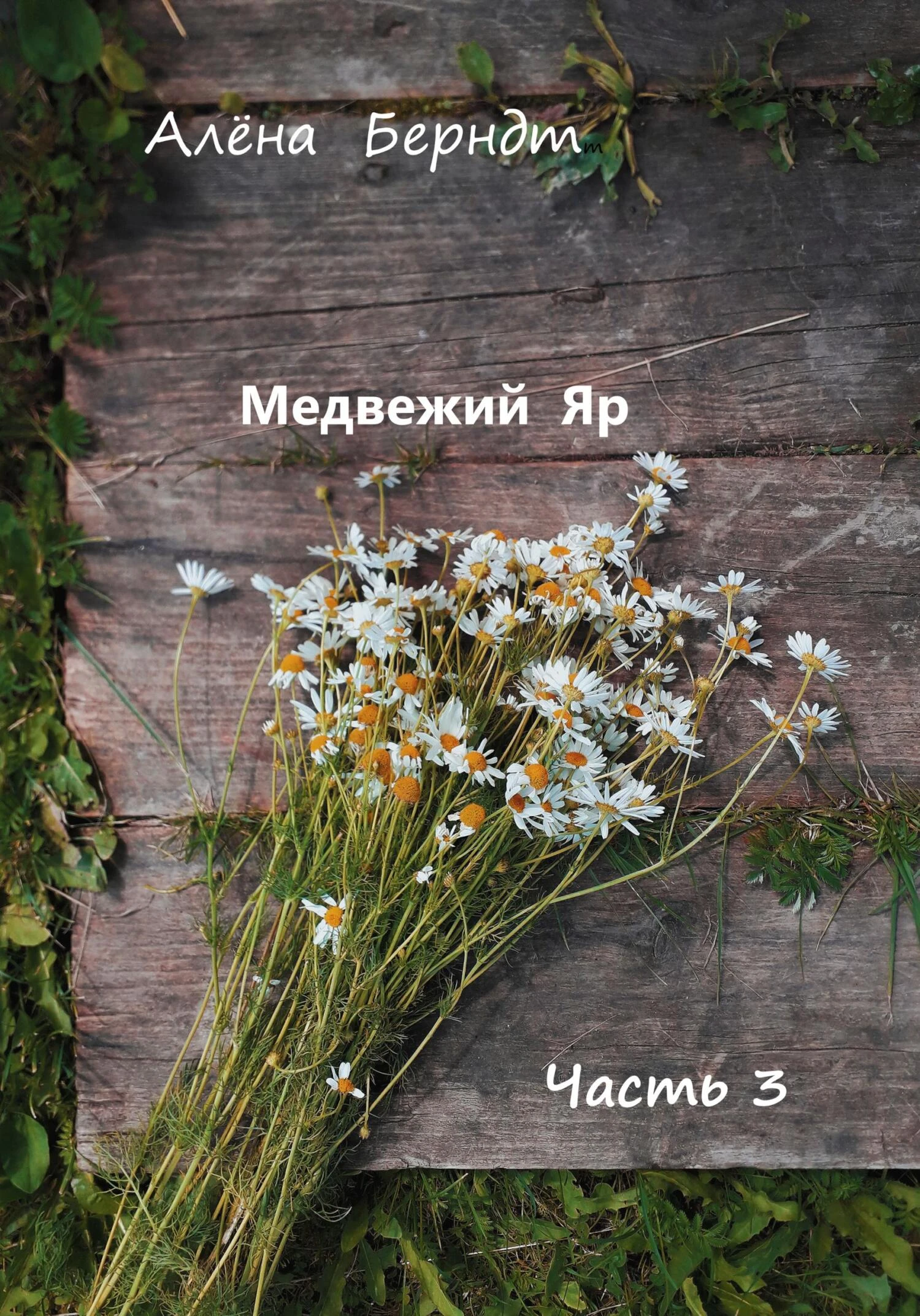 Книга Медвежий Яр. Часть 3