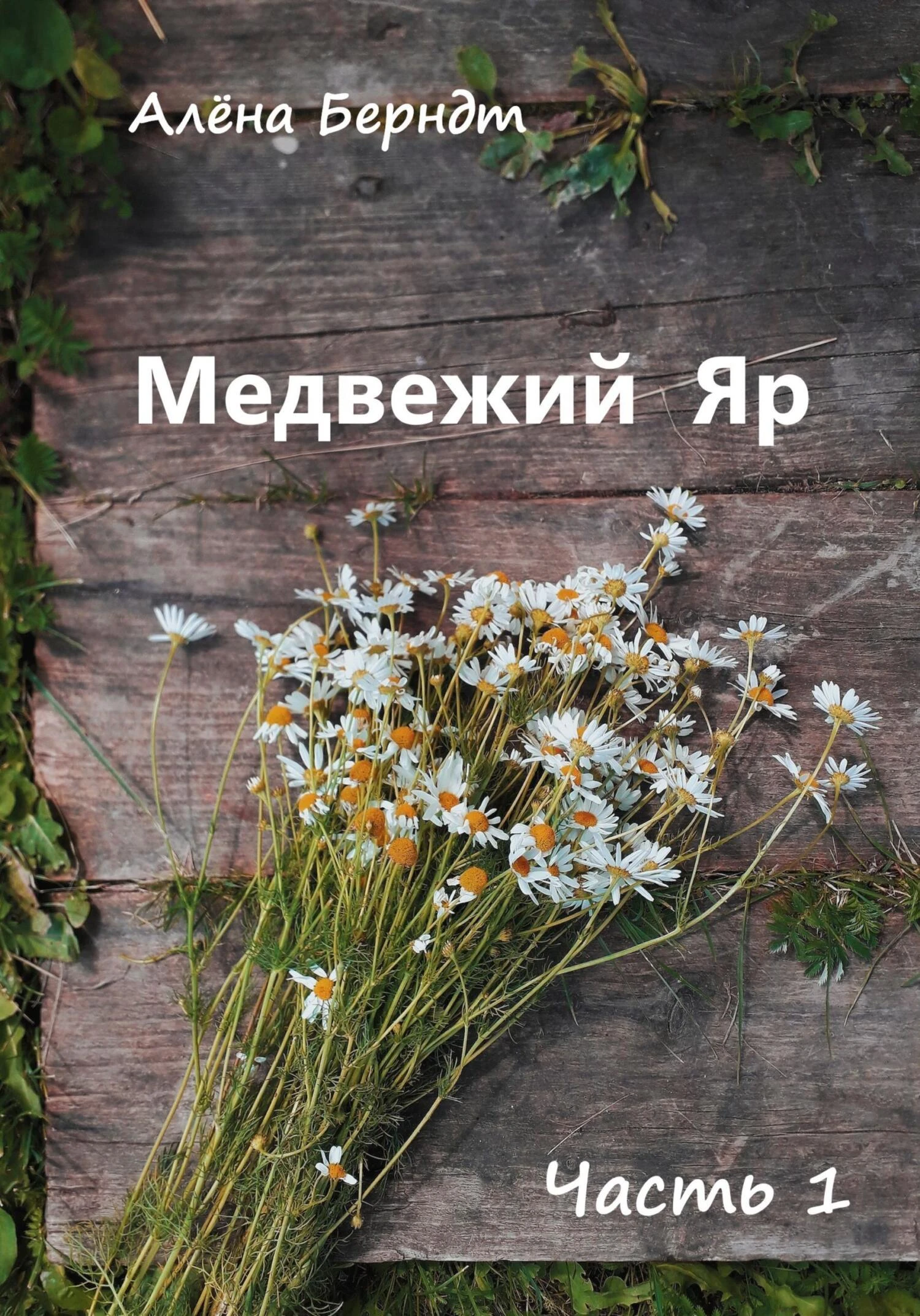 Книга Медвежий Яр. Часть 1
