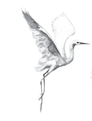 Иллюстрация к книге — Белый журавль обнимает меч рассвета. Том 1 [book-illustration-4.webp]
