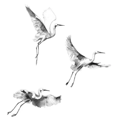 Иллюстрация к книге — Белый журавль обнимает меч рассвета. Том 1 [book-illustration-5.webp]