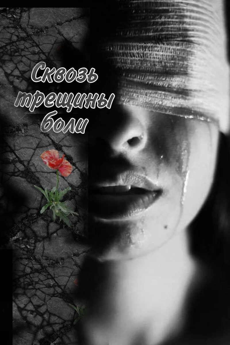 Книга Сквозь трещины боли