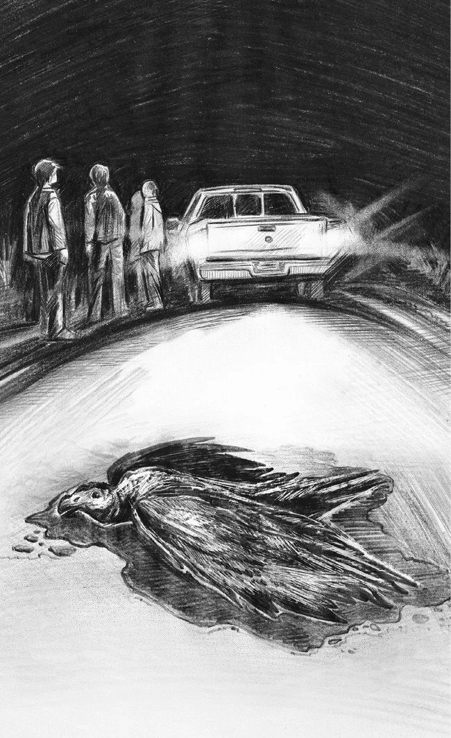 Иллюстрация к книге — Ведьма из Кингспорта [book-illustration-13.webp]