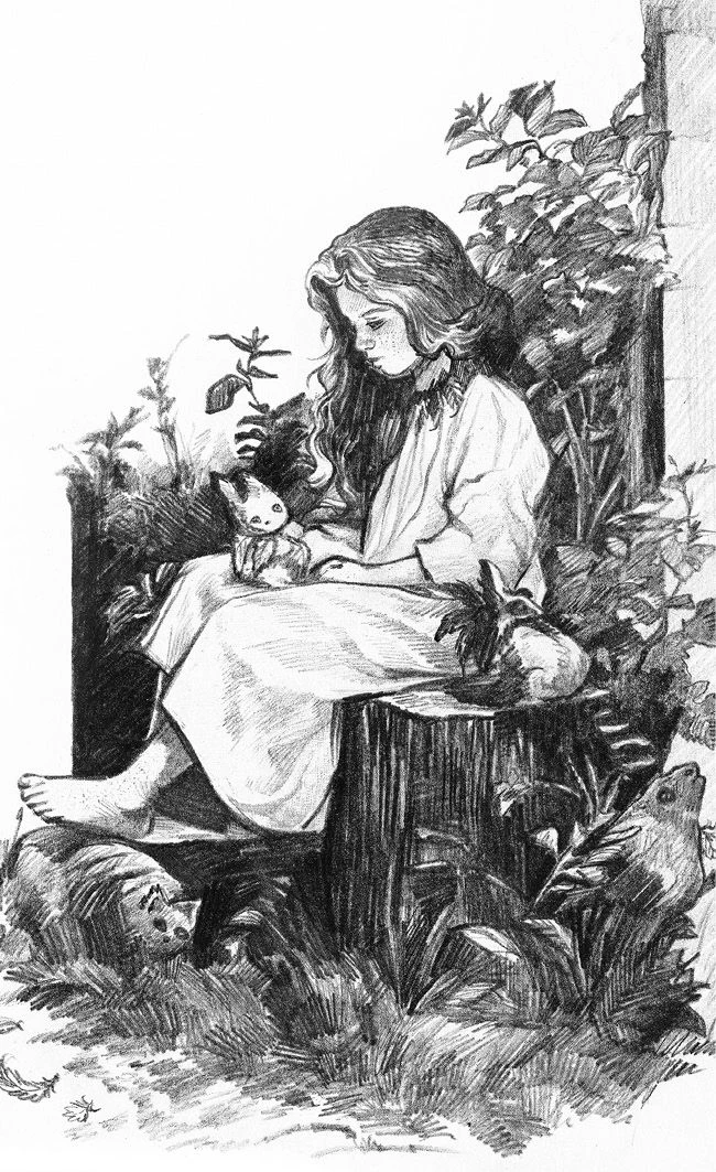 Иллюстрация к книге — Ведьма из Кингспорта [book-illustration-25.webp]
