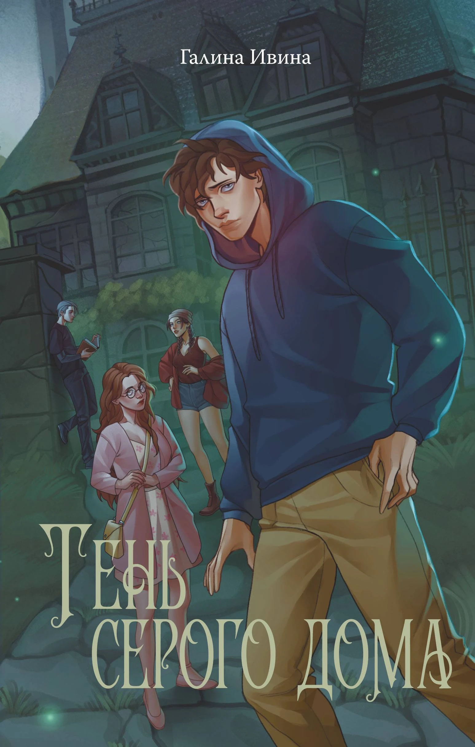 Книга Тень серого дома