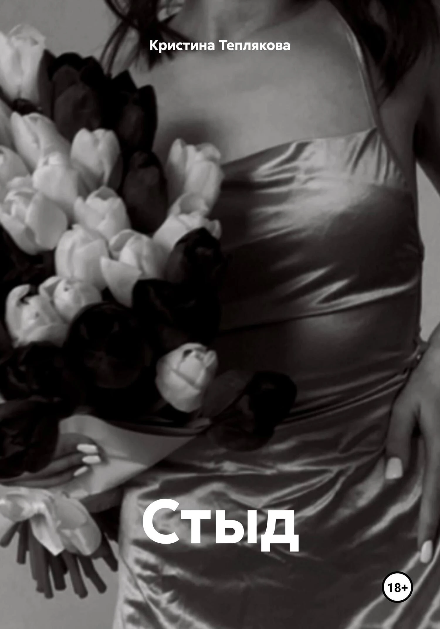 Книга Стыд