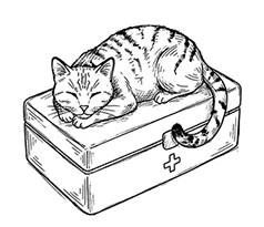 Иллюстрация к книге — Свежие сплетни для настоящей лентяйки [book-illustration-12.webp]