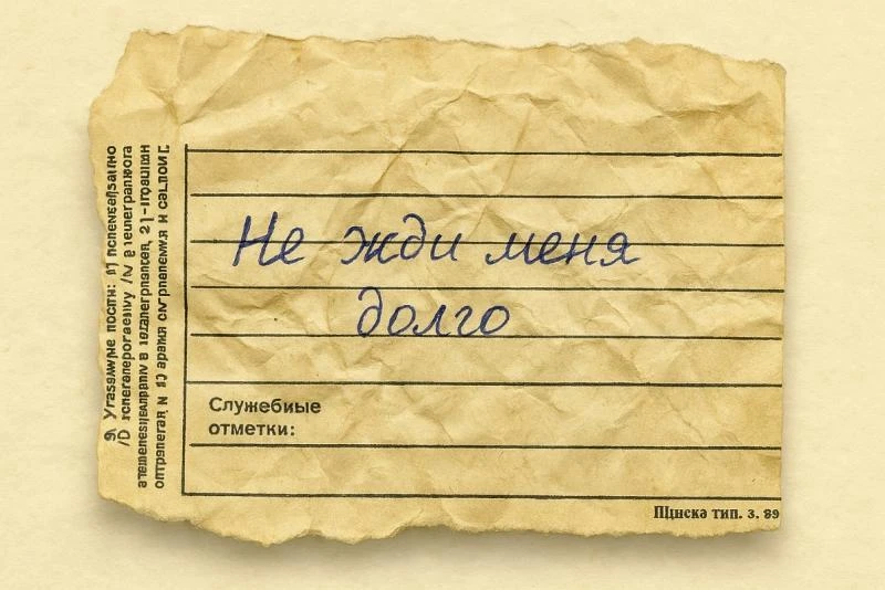 Иллюстрация к книге — Не жди меня долго [book-illustration-16.webp]