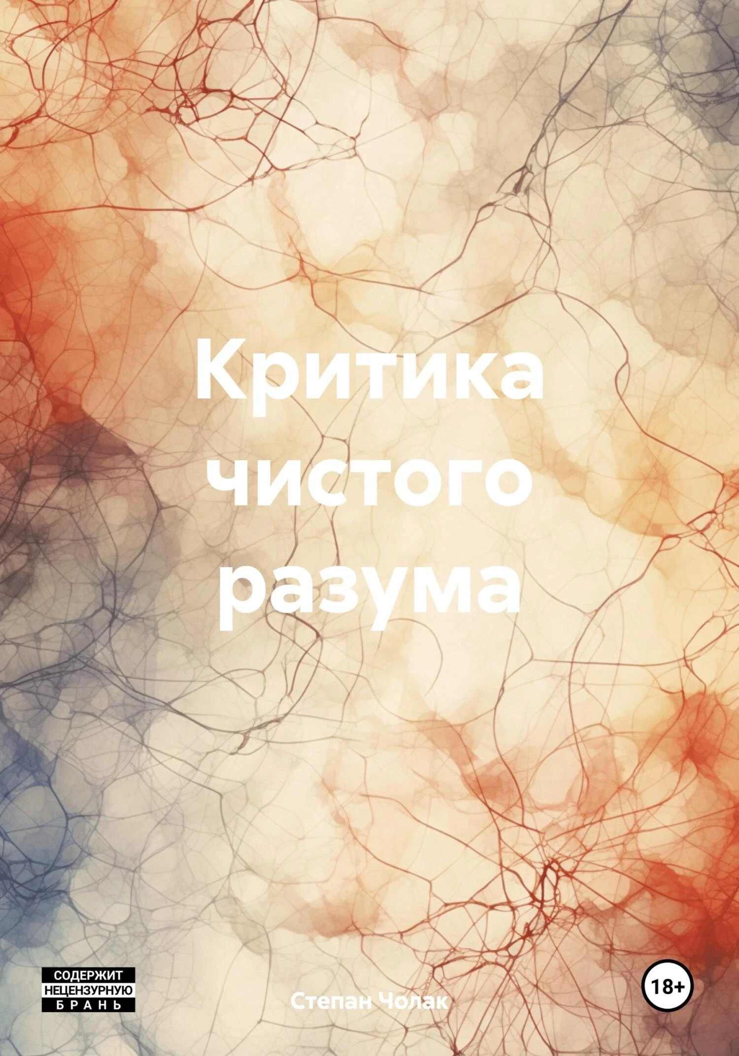 Книга Критика чистого разума